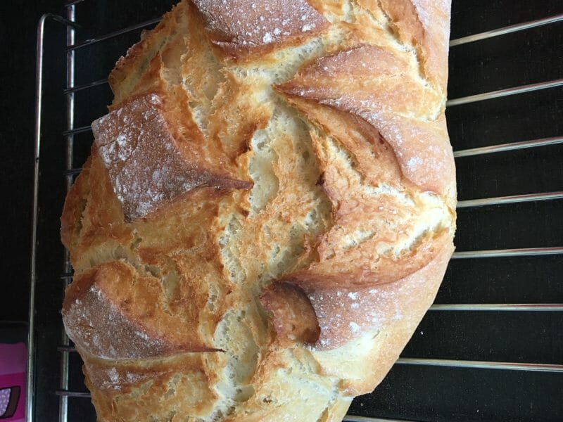 Cliquez pour zoomer ! Pain Cocotte Thermomix par taupy74