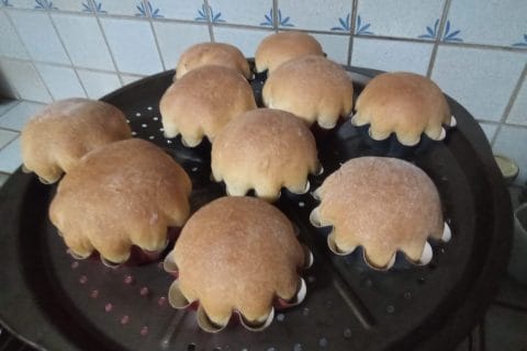 Cliquez pour zoomer ! Photo de gitos