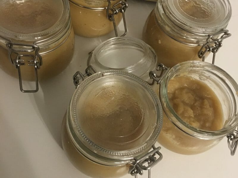 Compote pomme châtaigne au Thermomix Cookomix