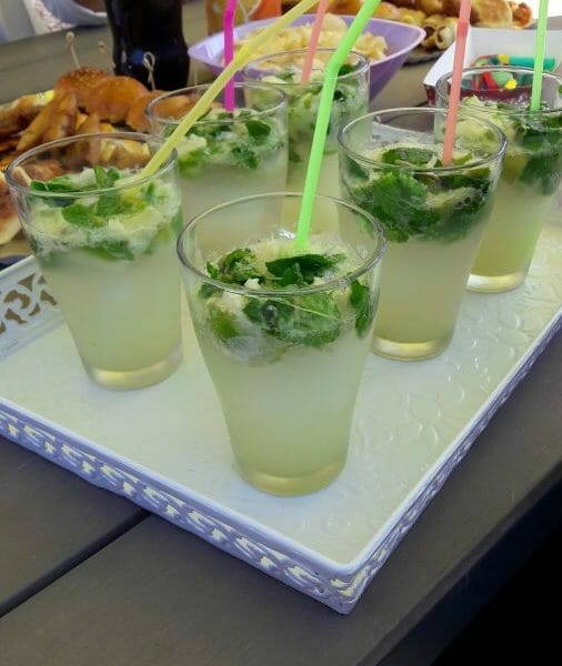 Cliquez pour zoomer ! Mojito Thermomix par hayatlynxyeyes
