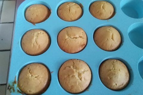 Cliquez pour zoomer ! Doffins Thermomix par chrousti