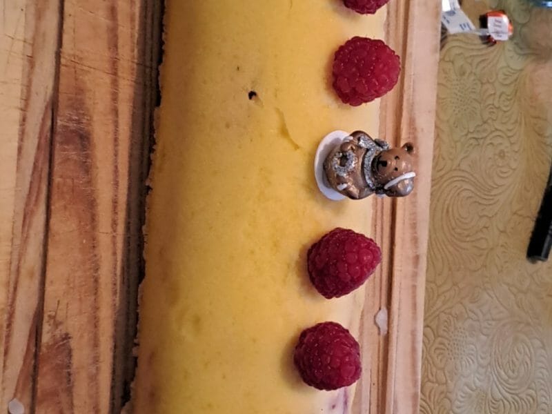 Cliquez pour zoomer ! Bûche glacée mangue et framboise Thermomix par lea.72