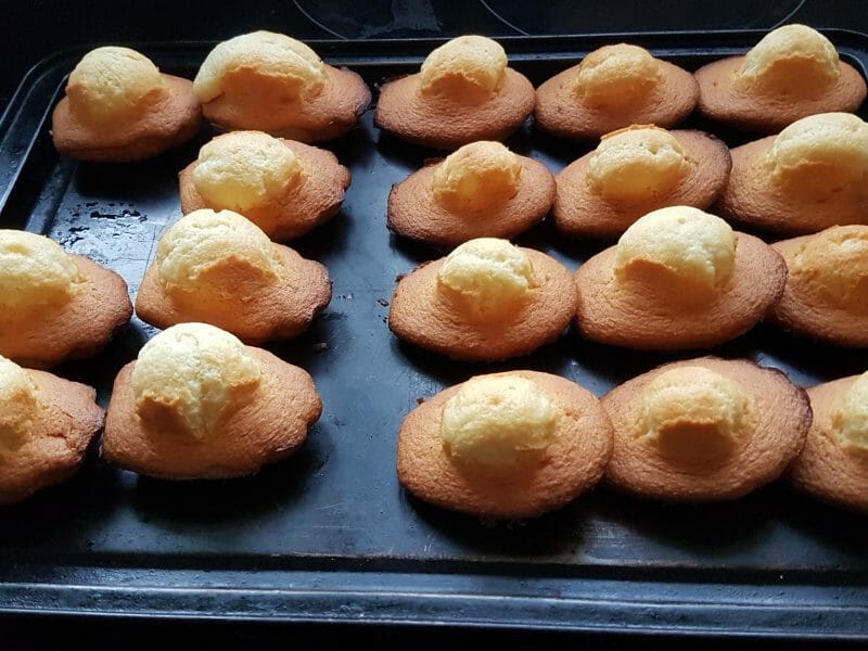 Cliquez pour zoomer ! Madeleines Thermomix par JPimousse
