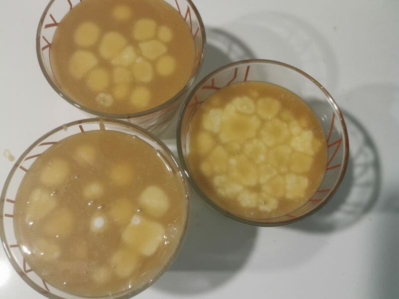 Cliquez pour zoomer ! Panna cotta caramel beurre salé Thermomix par Eleonore_1