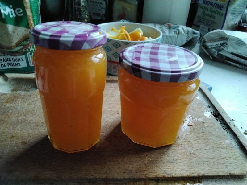 Cliquez pour zoomer ! Jus de fruits ACE Thermomix par Elorac01