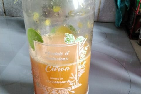 Cliquez pour zoomer ! Jus de fruits ACE Thermomix par Elorac01