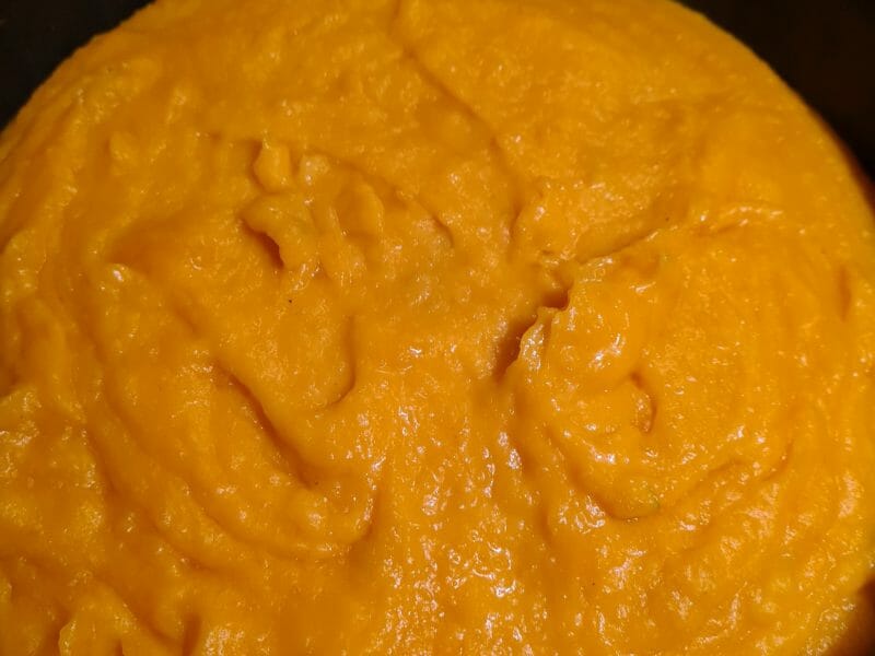 Cliquez pour zoomer ! Purée de butternut Thermomix par Nounousse07