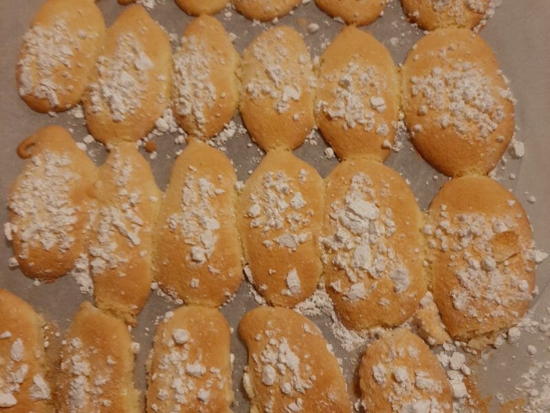 Cliquez pour zoomer ! Biscuits à la cuillère Thermomix par granada