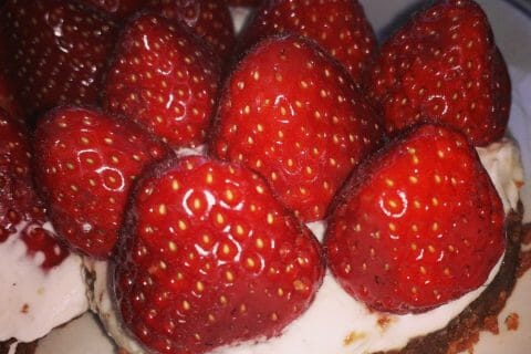 Photos des recettes