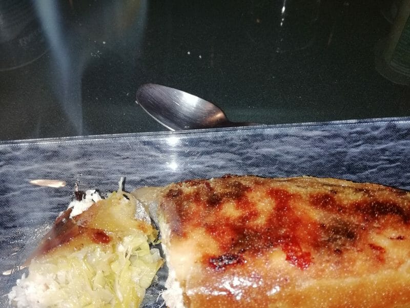 Cliquez pour zoomer ! Brick de saumon et poireaux Thermomix par aline3363