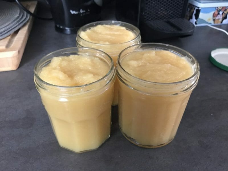 Compote de pomme au Thermomix Cookomix