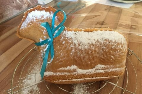 Cliquez pour zoomer ! E71270D9-792A-43FB-8FD2-D941A700D640