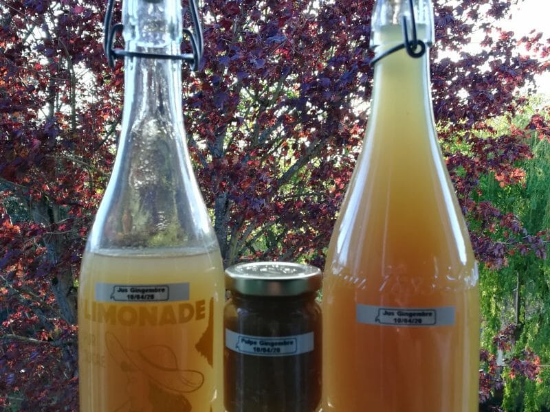 Cliquez pour zoomer ! Sirop de gingembre Thermomix par ricore92