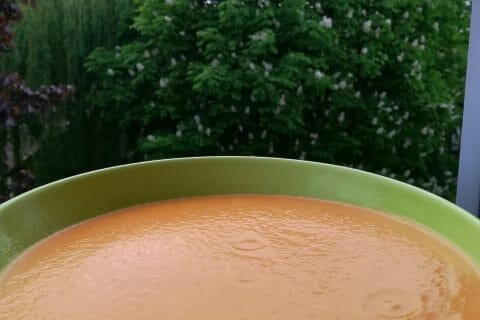 Cliquez pour zoomer ! Velouté de carottes et poivrons rouges au Thermomix