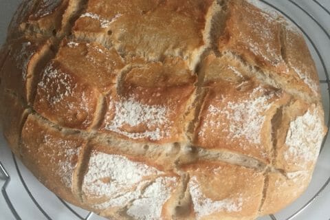 Cliquez pour zoomer ! 8D81040E-AE68-4D31-952D-DDCFC31B5D72