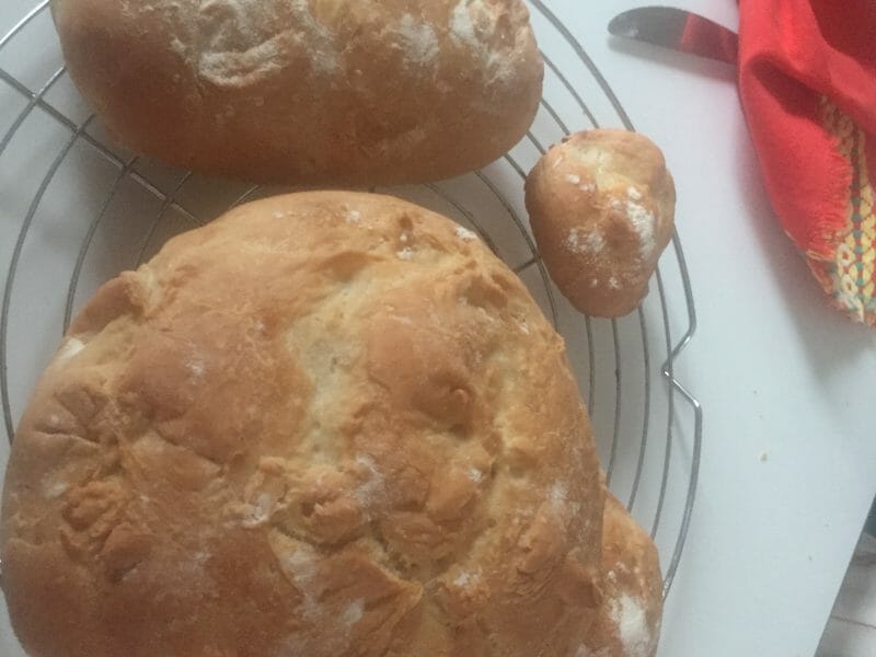 Cliquez pour zoomer ! Pain Cocotte Thermomix par sanchez madeleine