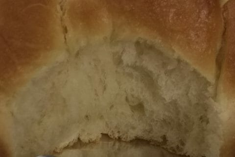 Cliquez pour zoomer ! Brioche Buchty au Thermomix