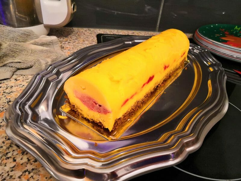 Cliquez pour zoomer ! Bûche glacée mangue et framboise Thermomix par arno2767