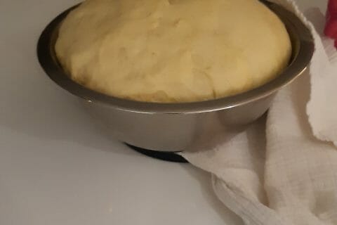 Cliquez pour zoomer ! Brioche aux pralines roses Thermomix par jomana