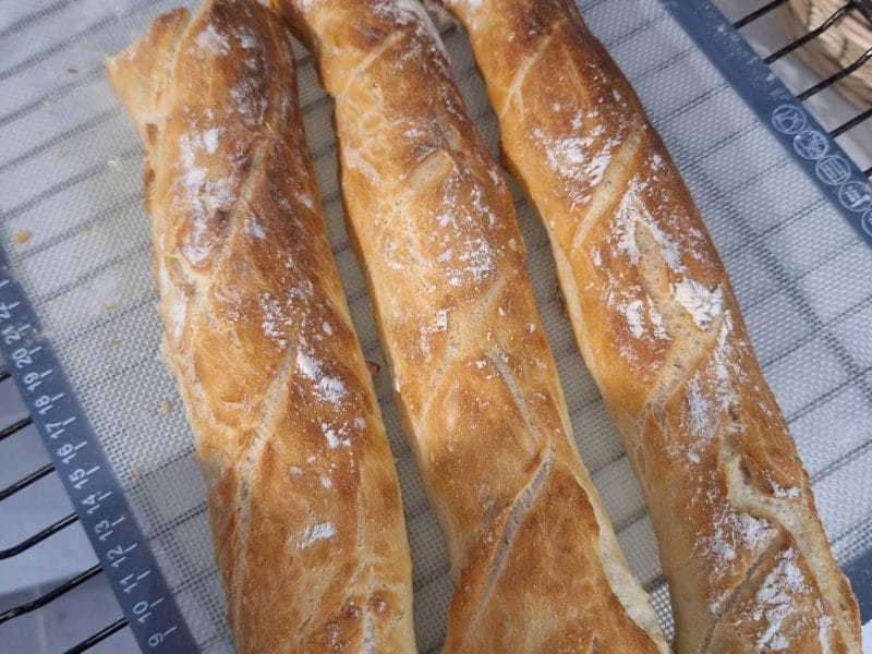 Cliquez pour zoomer ! Baguettes Thermomix par lfmt