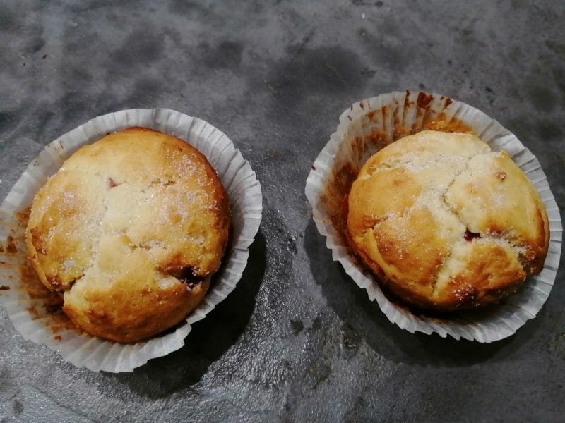 Cliquez pour zoomer ! Doffins Thermomix par Sylvette