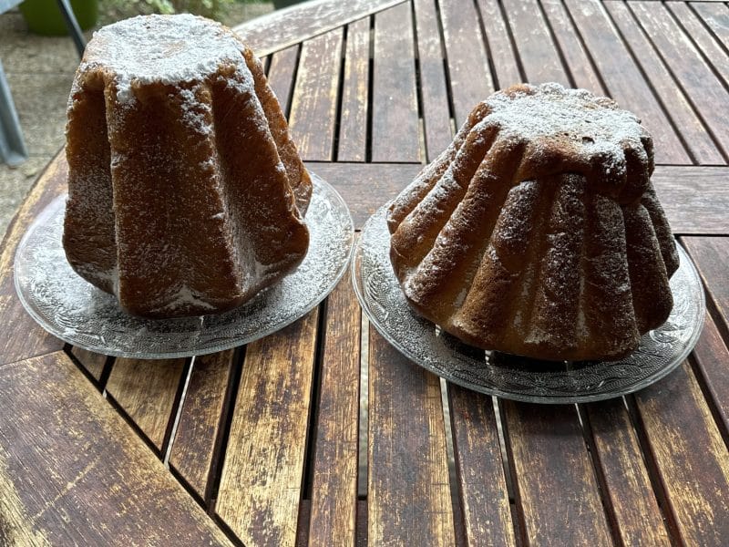 Cliquez pour zoomer ! Pandoro Thermomix par Danyb