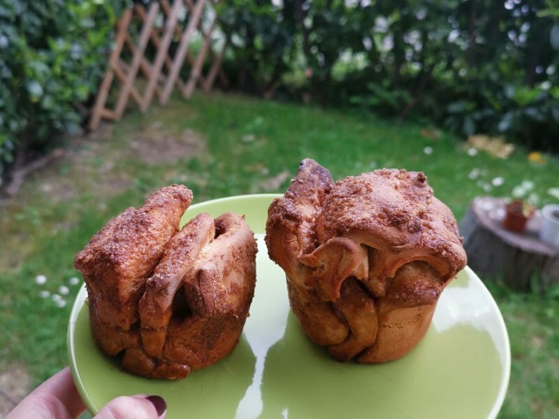 Cliquez pour zoomer ! Brioche à effeuiller à la cannelle Thermomix par sirjenny