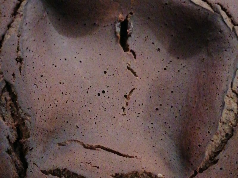 Cliquez pour zoomer ! Gâteau lapin de Pâques Thermomix par Sandrine_6