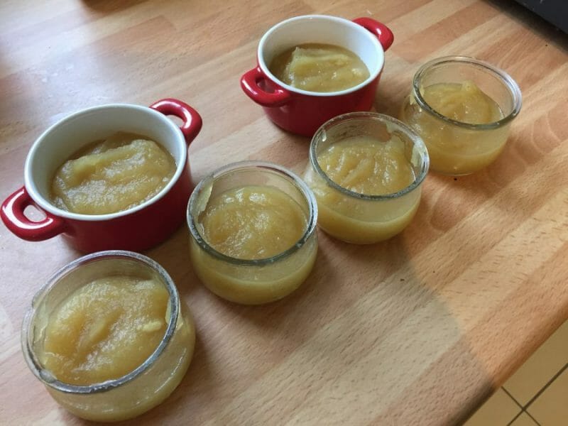 Compote de pomme au Thermomix Cookomix