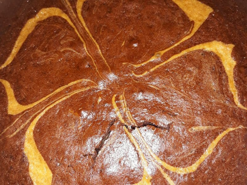 Cliquez pour zoomer ! Gâteau zébré Thermomix par Gabinette