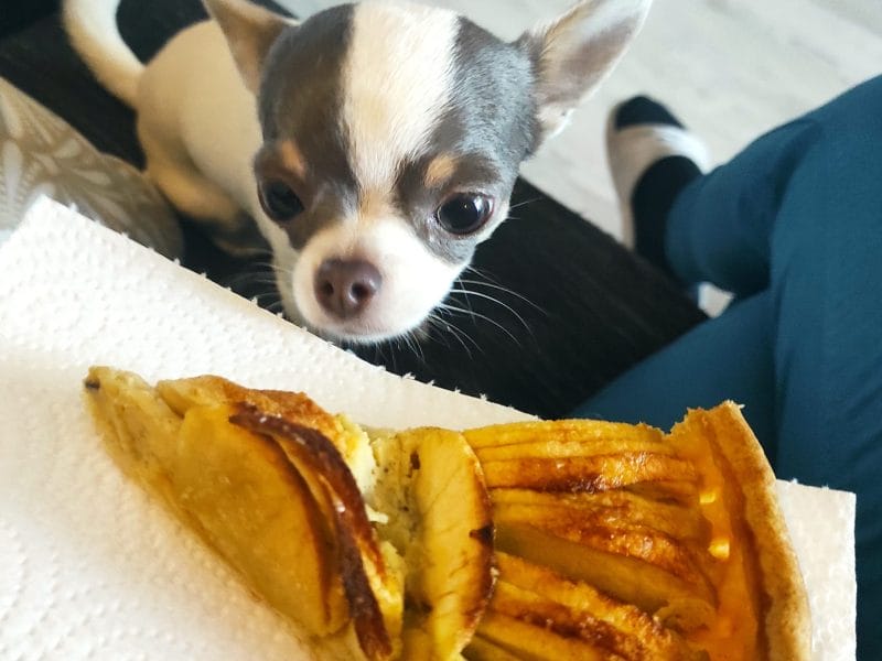 Cliquez pour zoomer ! Tarte aux pommes alsacienne Thermomix par djinny