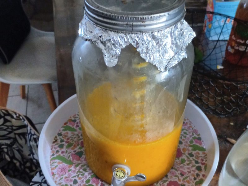 Cliquez pour zoomer ! Jus de fruits ACE Thermomix par murielche