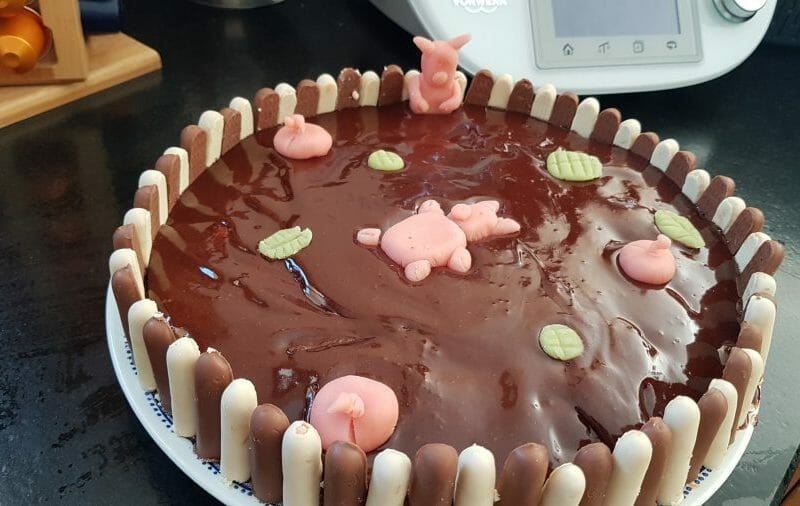 Cliquez pour zoomer ! La mare aux cochons Thermomix par Mimi074