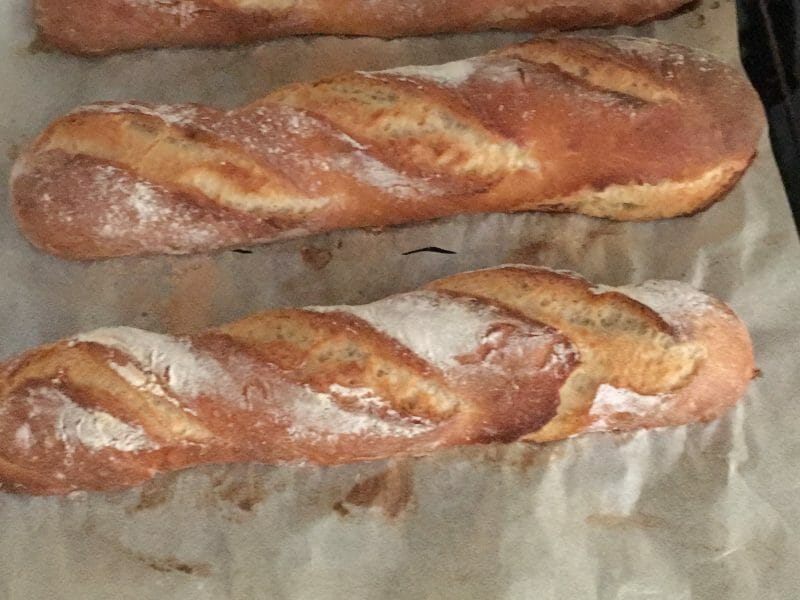 Cliquez pour zoomer ! Baguettes Thermomix par Lucie_hd