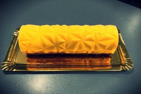 Cliquez pour zoomer ! Bûche glacée mangue et framboise Thermomix par Elodie_11