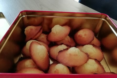 Cliquez pour zoomer ! Madeleines Thermomix par BRI25