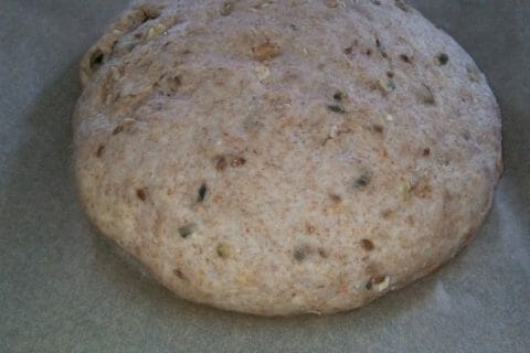 Photos des recettes