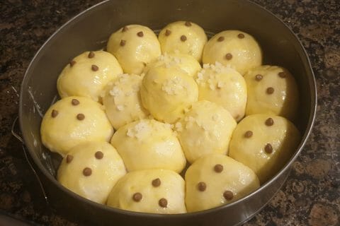 Cliquez pour zoomer ! Brioche Buchty Thermomix par Dounia