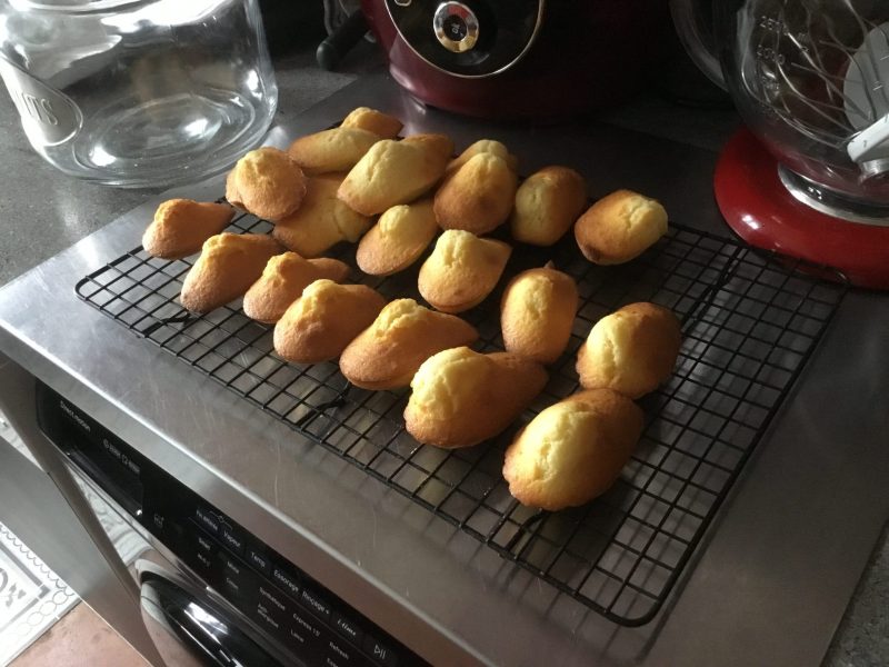 Cliquez pour zoomer ! Madeleines Thermomix par Martine_1