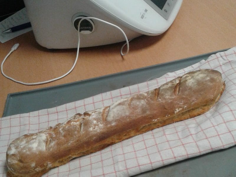Cliquez pour zoomer ! Baguettes Thermomix par Stagef