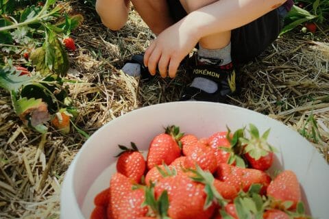 Cliquez pour zoomer ! Muffins aux fraises Thermomix par Natha67