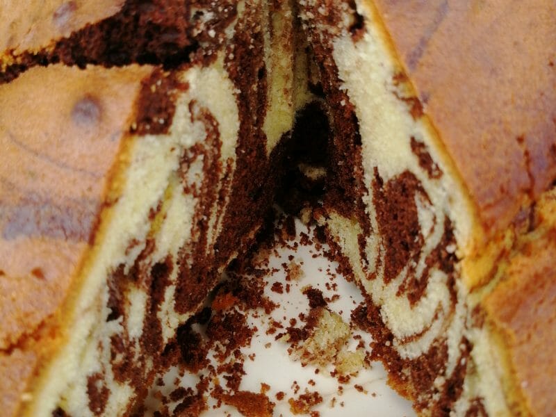 Cliquez pour zoomer ! Gâteau zébré Thermomix par Honorine