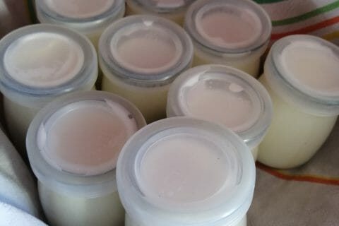 Cliquez pour zoomer ! Yaourt au Varoma Thermomix par Honorine