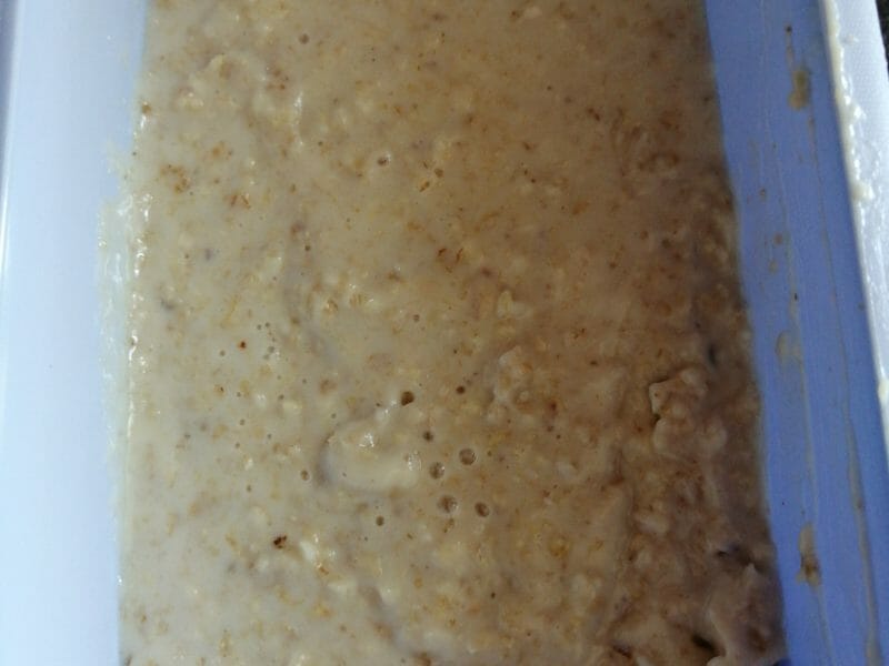 Cliquez pour zoomer ! Porridge Thermomix par Honorine