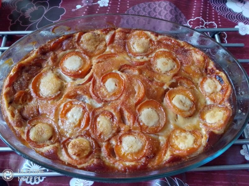 Cliquez pour zoomer ! Clafoutis aux abricots Thermomix par Larry @1208