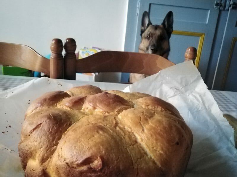 Cliquez pour zoomer ! Brioche cocotte Thermomix par Larry @1208