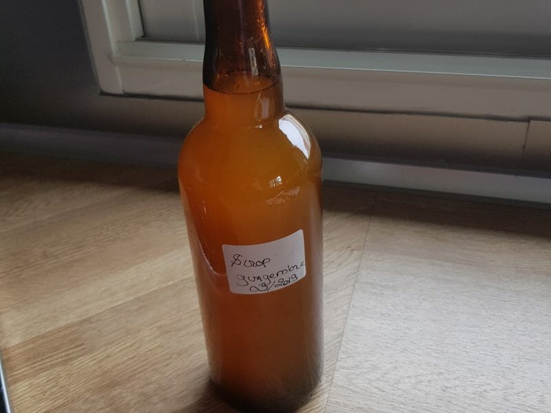 Cliquez pour zoomer ! Sirop de gingembre Thermomix par Darlich