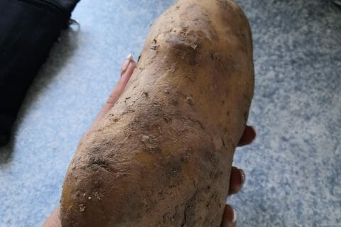 Cliquez pour zoomer ! Purée de pommes de terre Thermomix par sandy54