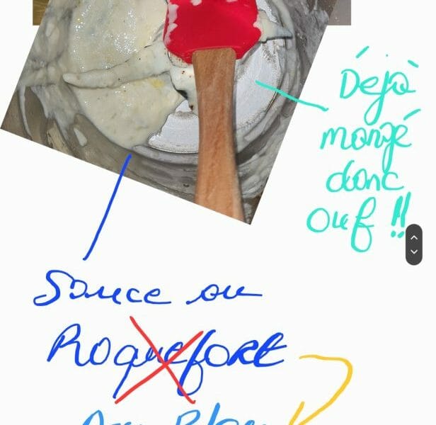 Cliquez pour zoomer ! Sauce au roquefort Thermomix par Eniavlys Guh