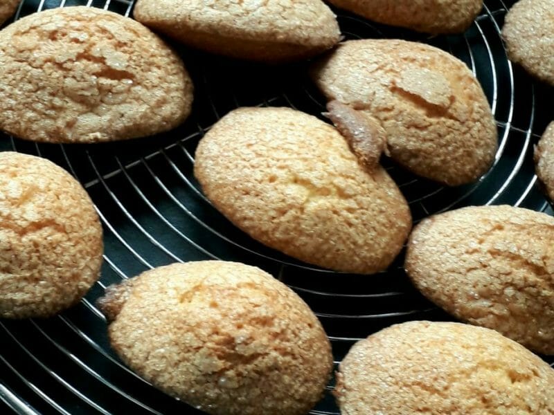 Cliquez pour zoomer ! Magdalenas – Madeleines espagnoles Thermomix par Carwi 🍍